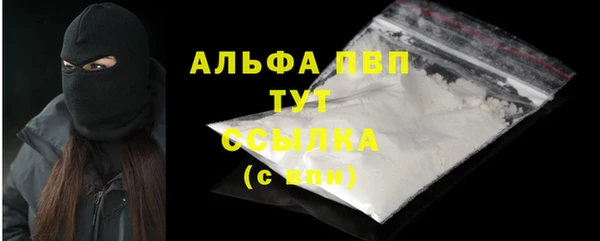 хмурый Абаза