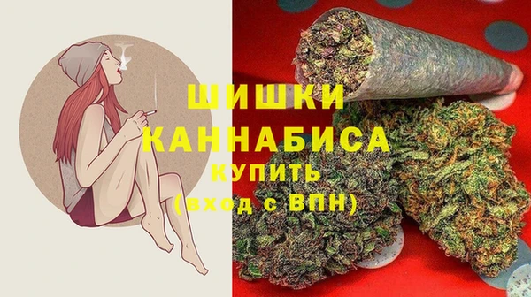 хмурый Абаза